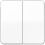 Jung CD 595 BF WW (CD595BFWW)