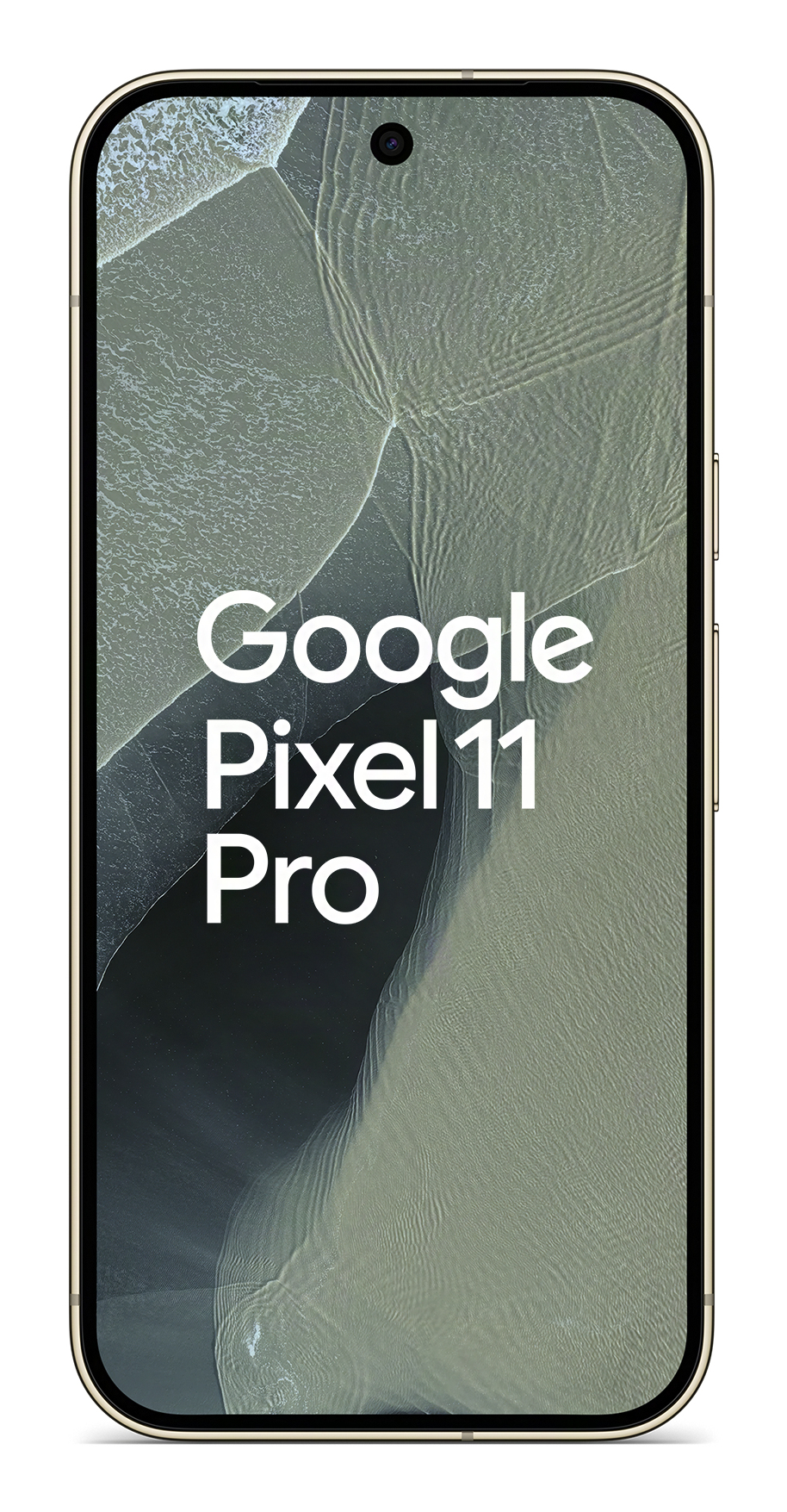 Google Pixel 11 Pro 5G 16 GB RAM 512 GB Olive