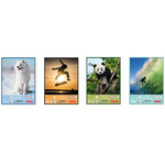 herlitz Zeichenblock DIN A3, 100 g/qm, 25 Blatt holzfrei, kopfgeleimt, die Lieferung erfolgt sortiert in - 1 Stück (10416634)