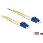 Delock LWL Kabel LC Duplex zu LC Duplex Singlemode OS2 100 m (80161)