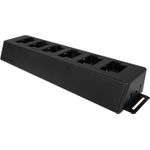 Transcend Docking Station für digitale Kamera (TS-DPD6P)