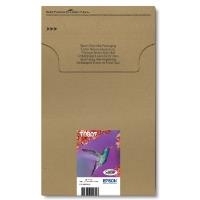 Epson T0807 Easy Mail Packaging (C13T08074510)