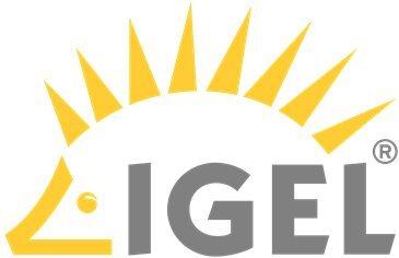 Lenovo Igel Technical Relationship Manager Enterprise - Konsultierend - 1 Jahr (4L41S06247)