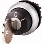 Eaton M22-WRS-MS2 Elektroschalter Schlüsselschalter Schwarz - Titan (111778)