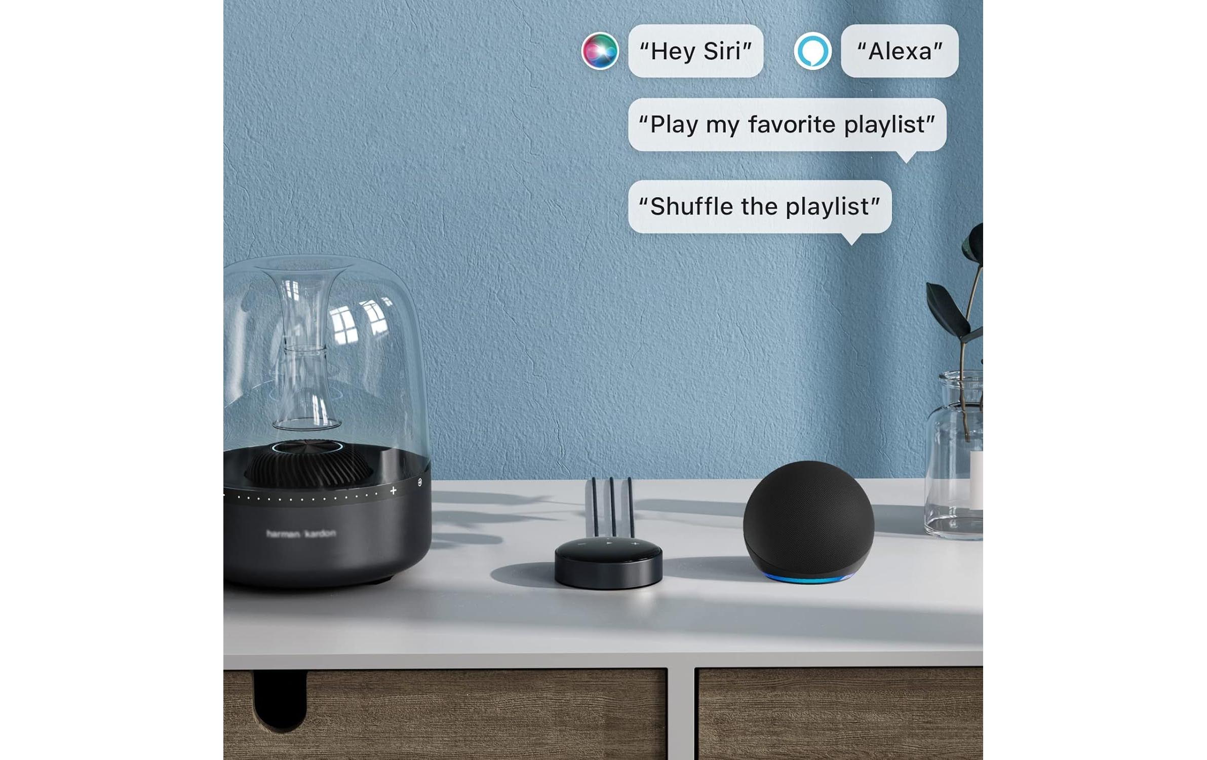 WiiM Mini Audio-Streamer AirPlay 2 WLAN Bluetooth Schwarz