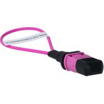 BlueOptics Lichtwellenleiter Loopback Adapter für OM4, G50/125µm Multimode MPO-MTP/UPC-Duplex, Keramik Ferrule, -40°C bis +85°C (BOLBMPOM4)