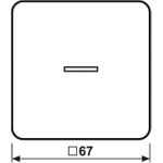 Jung HOME Taster 1fach BTCD17101WW 1 (BTCD17101WW)