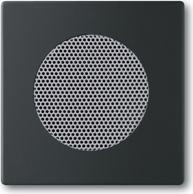 Busch-Jaeger 8200-0-0126. Produktfarbe: Schwarz, Markenkompatibilität: Busch-Jaeger, Design: konventionell. Breite: 63 mm, Höhe: 63 mm (2CKA008200A0126)