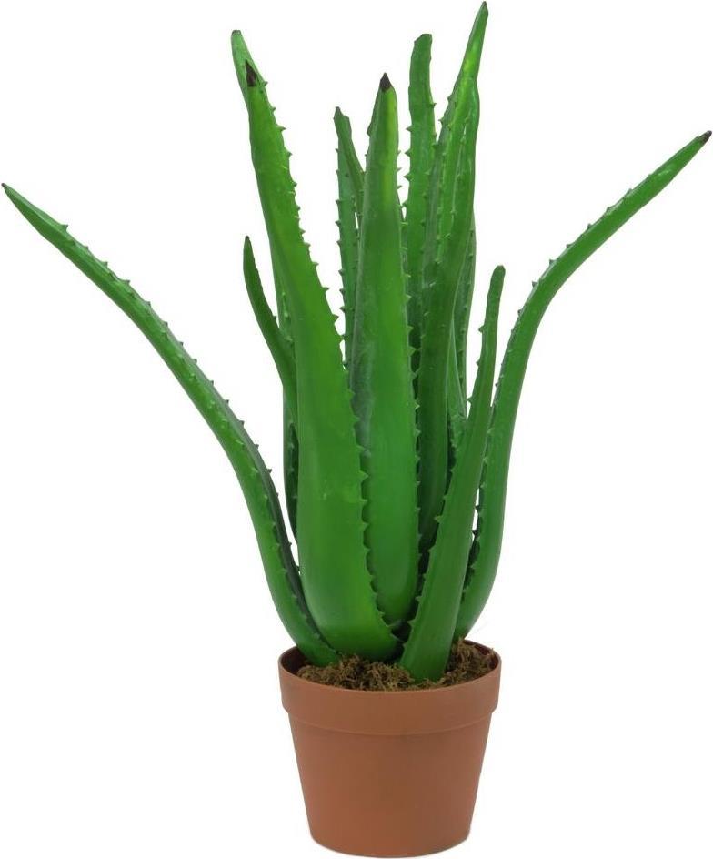 EUROPALMS Aloe-Vera-Pflanze, Kunstpflanze, 63cm (82809112)