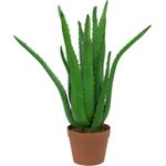 EUROPALMS Aloe-Vera-Pflanze, Kunstpflanze, 63cm (82809112)