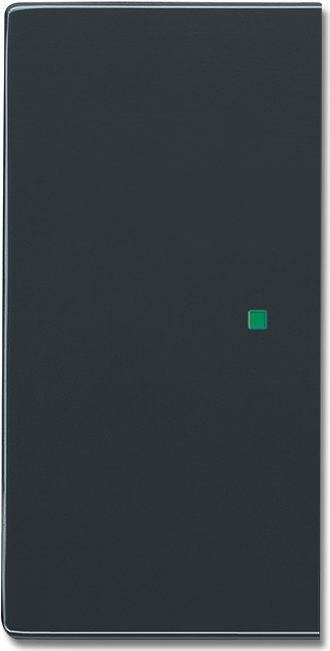 Busch-Jaeger 2CKA006220A0047 Abdeckplatte für Sensorhalterung & -sockel Anthrazit (2CKA006220A0047)