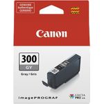 Canon PFI-300 GY Grau (4200C001)