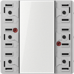 JUNG LS 5093 TSM (LS5093TSM)