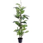 EUROPALMS Dieffenbachia, künstlich, 120cm (82508306)