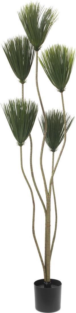 EUROPALMS Papyrus, Kunstpflanze, 130cm (82600235)