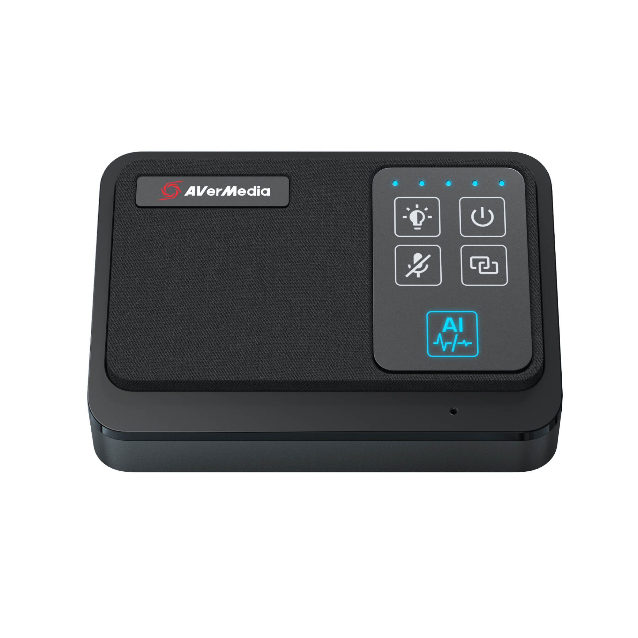 AVerMedia AW111 Mikrofonsystem USB-C Schwarz