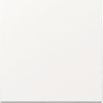 GIRA Wippe 329603 Sys.55 rws (329603)