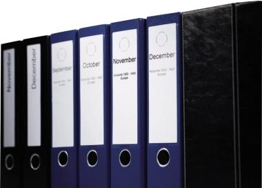 DYMO LabelWriter Ordneretiketten 190 x 38 mm Weiß