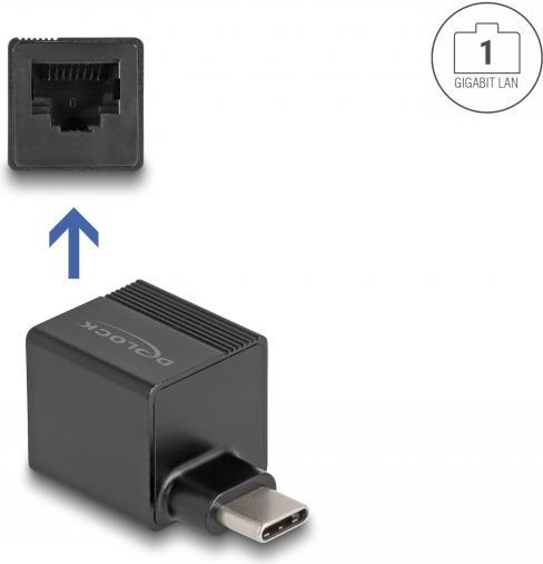 Delock Adapter to Gigabit LAN mini (66462)