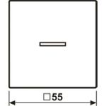 Jung HOME Taster 1fach BTAS17101WW 1 (BTAS17101WW)