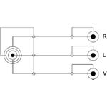 DeLOCK Video- / Audiokabel (84504)