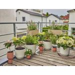Gardena Micro-Drip-Irrigation Balcony - Micro-Drip-System Set (13401-20)