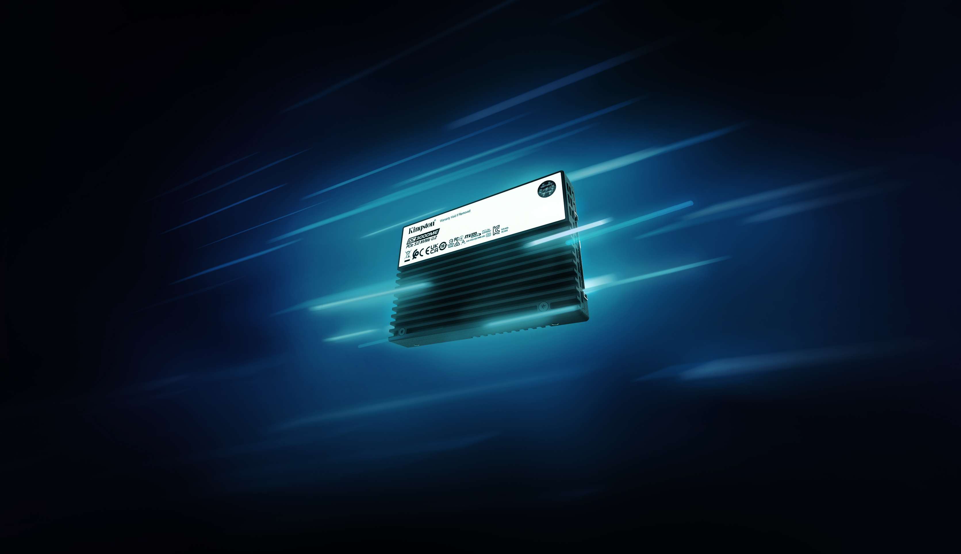 Kingston DC3000ME SEDC3000ME/30T7 30 TB U.2 PCIe 5.0 NVMe SSD