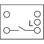 Delock Easy 45 Druckschalter (81359)