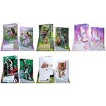 HERMA Zeugnisringbuch "Street Soccer", DIN A4 aus stabilem Karton, stabiles Cover, komplett bedruckt, - 1 Stück (20162)