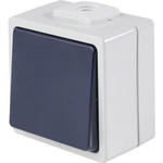 as - Schwabe 62452 Taster IP54 Grau (62452)