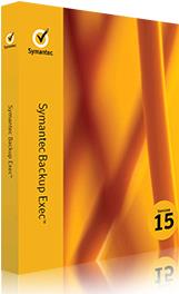 Veritas Symantec Basic Maintenance (B6FTWZZ0-BR1ES)