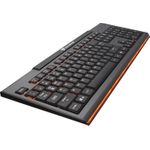 COUGAR CGR-WXNMB-199 Tastatur Gaming USB Schwarz (CGR-WXNMB-200)