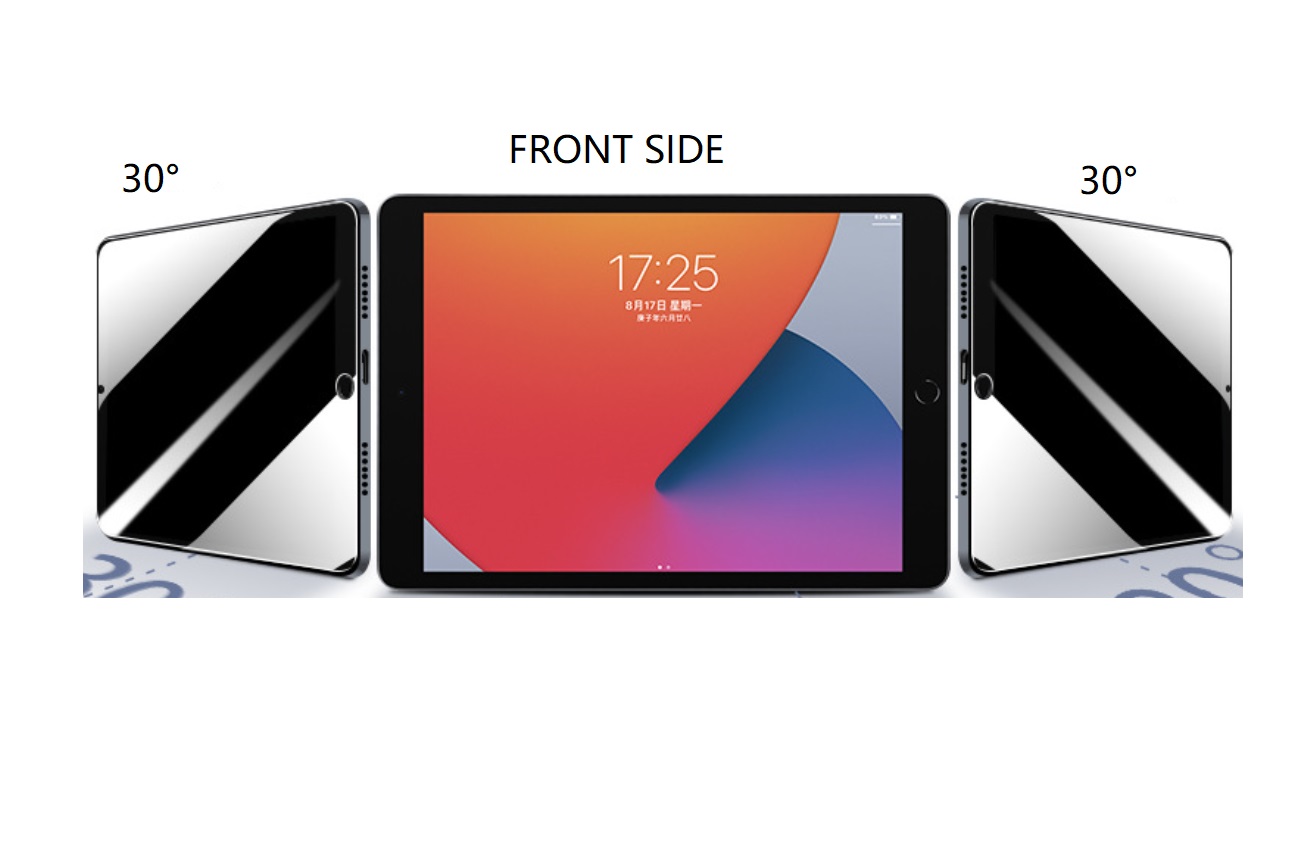 Apple iPad 10.2, 10. Gen, 256 GB LTE Blickschutz (MG-SPAIPAD10.2AP)