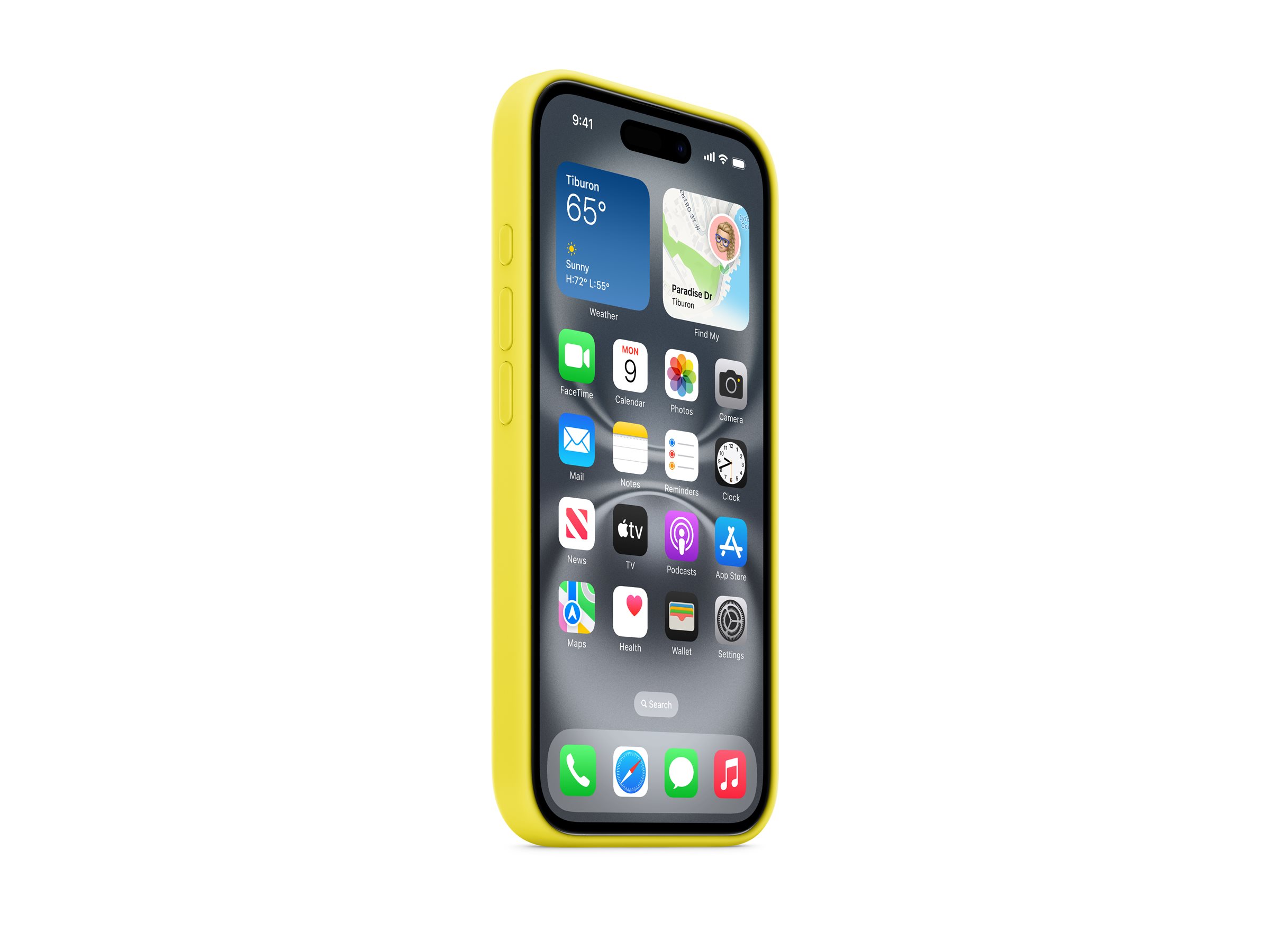 Apple iPhone 16 Silicone Case mit MagSafe 6,1" Star Fruit