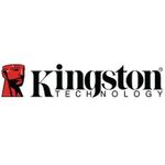 Kingston IronKey Locker Plus 50 G2 256GB FIPS 197 AES-256 verschlüsselter USB-Stick