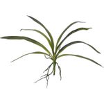 EUROPALMS Orchideenblatt (EVA), künstlich, grün, 45cm (82530574)