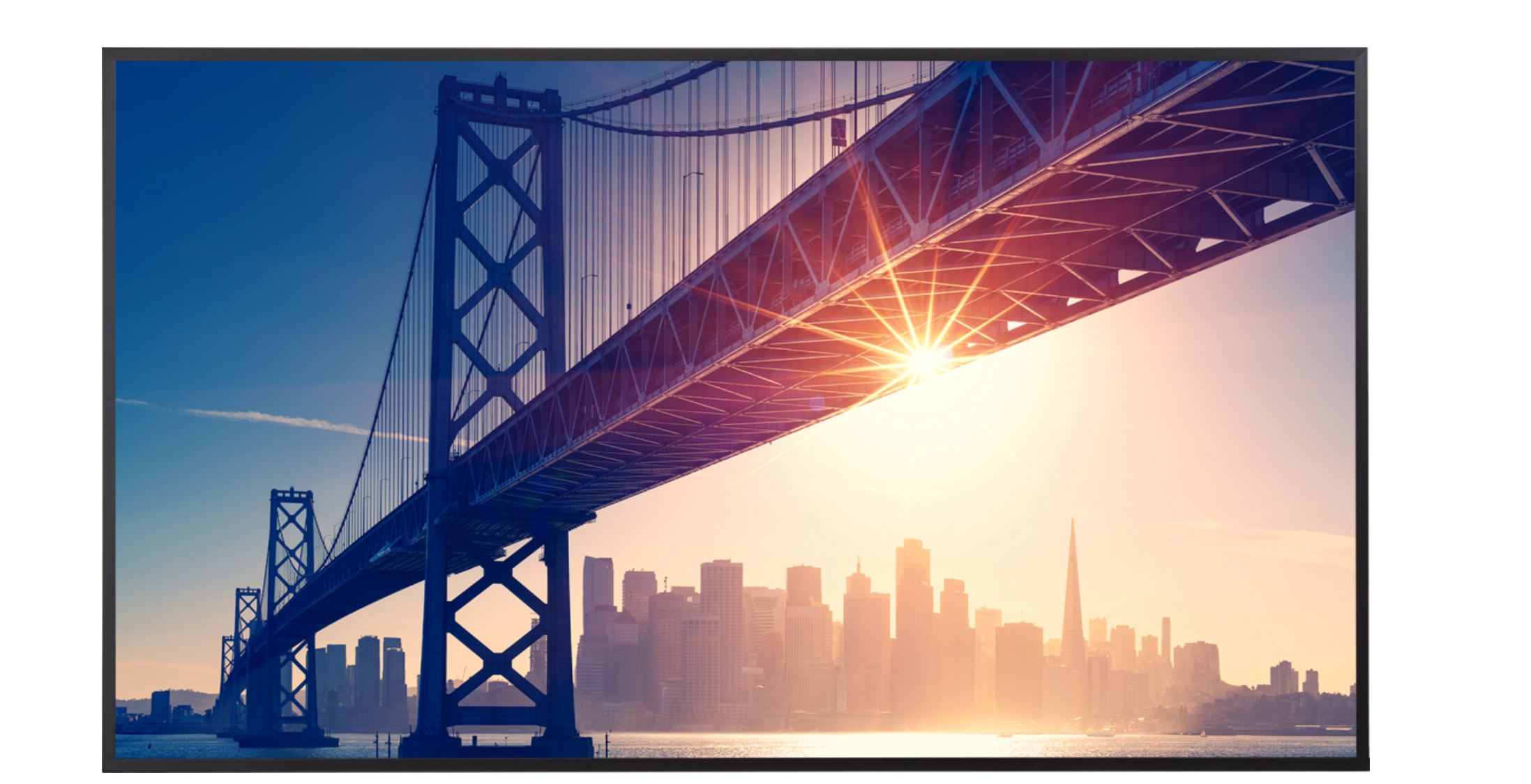 Sharp MultiSync PN-ME752 (60005925)