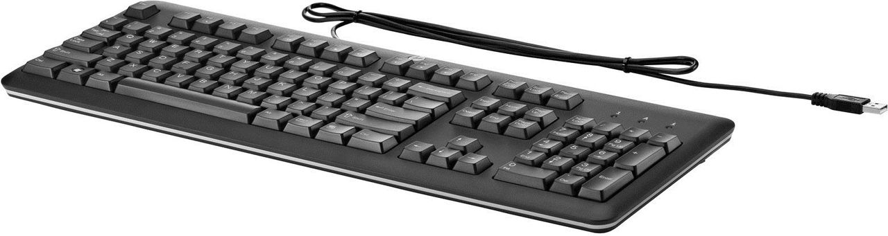 HP USB Standard Keyboard - PL USB QWERTY Polieren Schwarz Tastatur (724720-241)