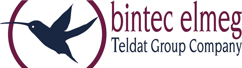 Teldat BinTec HOT SPOT SOLUTION (5510000199)