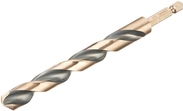 Dewalt DT20619-QZ HSS-G Metall-Spiralbohrer 1 Stück 13 mm Gesamtlänge 145 mm korrosionsgeschützt Sechskant 1 St. (DT20619-QZ)