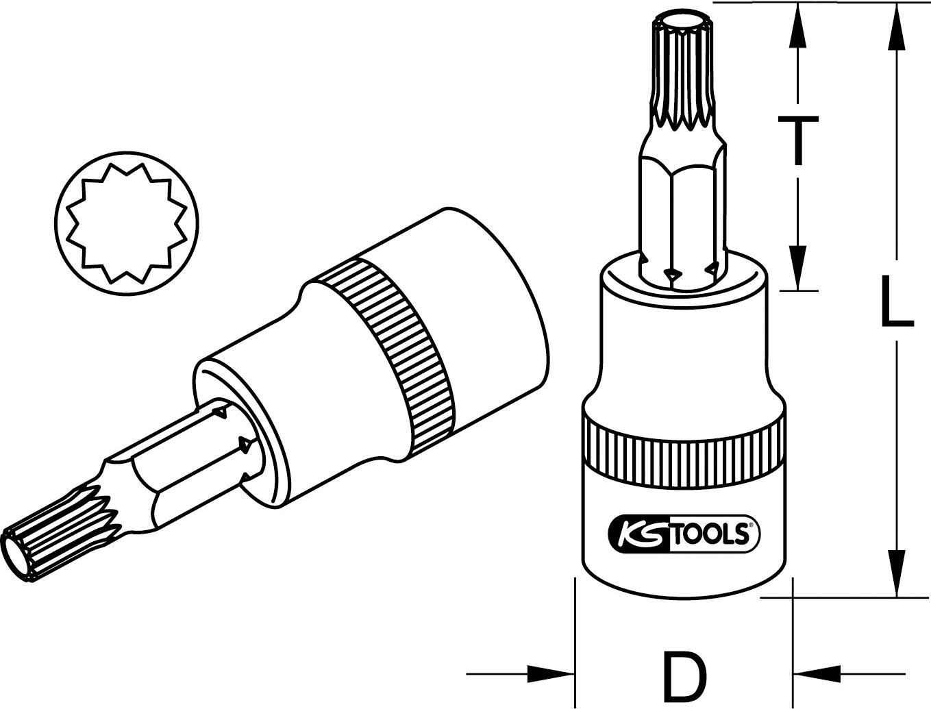 KS TOOLS Werkzeuge-Maschinen GmbH 1/4" CHROMEplus Bit-Stecknuss XZN, M10 (918.1446)