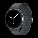 Samsung L330 GALAXY WATCH8 44MM BT GRAPHITE (SM-L330NDAAEUB) (B-Ware)