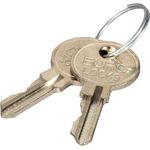 EFB-Elektronik Ersatzschlüssel für Wandgehäuse IP55 und 3+5HE, 2 Stück Hersteller: EFB Elektronik (102115.2)