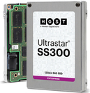 WD Ultrastar SS300 HUSMR3232ASS200 (0B34904)