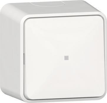 GIRA Wipptaster 315613 Wechsler Kontrollf.+BSS AP rws (315613)