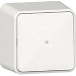 GIRA Wipptaster 315613 Wechsler Kontrollf.+BSS AP rws (315613)