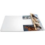 HERMA 19217 Pappe Mehrfarben Aktendeckel (19217)