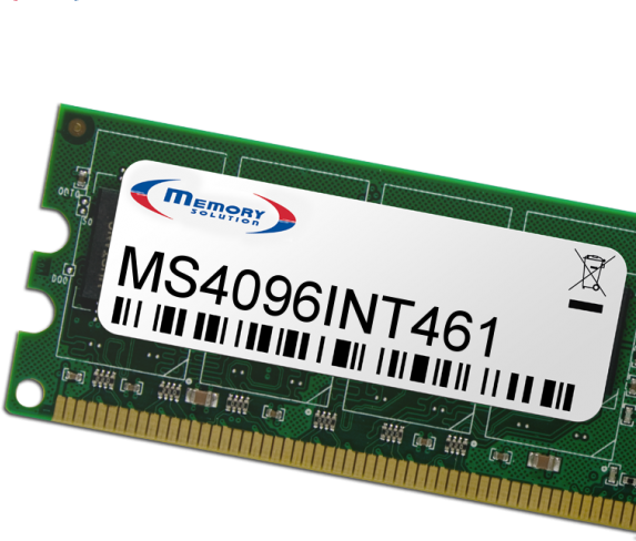 Memory Solution MS4096INT461 4GB Speichermodul (MS4096INT461)