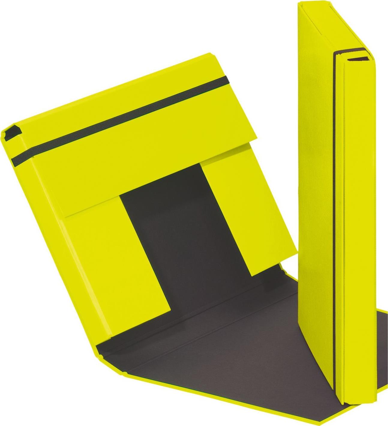 Pagna Trend Colours 21308-75 Heftbox DIN A4 lime