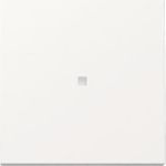 GIRA Wippe 329003 Kontrollf.Sys.55 rws (329003)